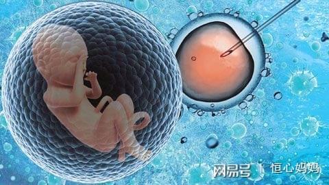代生生男孩代怀中介